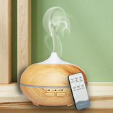 ODORIZANTUL DE CAMERĂ ARIASANA®