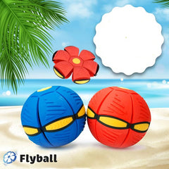 FLYBALL™ – MINGEA ZBURĂTOARE FRISBEE