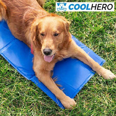 SALTEA DE RĂCORIRE PENTRU CÂINI COOLHERO™