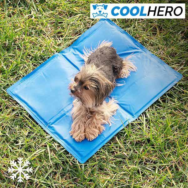 SALTEA DE RĂCORIRE PENTRU CÂINI COOLHERO™