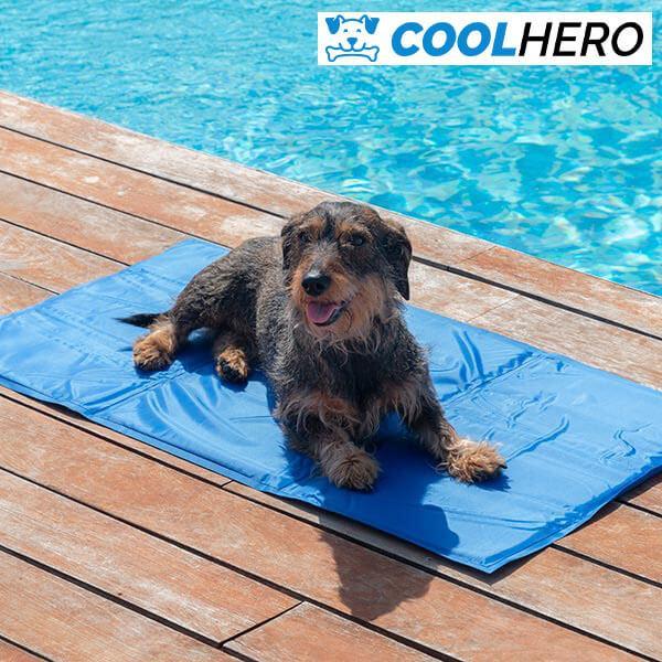 SALTEA DE RĂCORIRE PENTRU CÂINI COOLHERO™